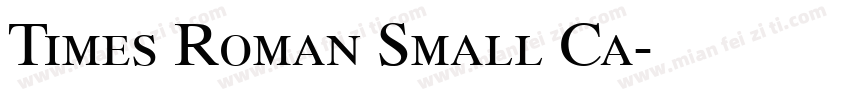 Times Roman Small Ca字体转换